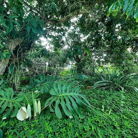 Flat Em Serra Negra - Bezerros Bagian luar foto