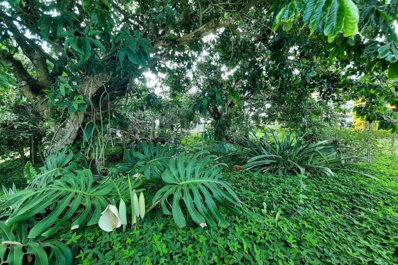 Flat Em Serra Negra - Bezerros Bagian luar foto