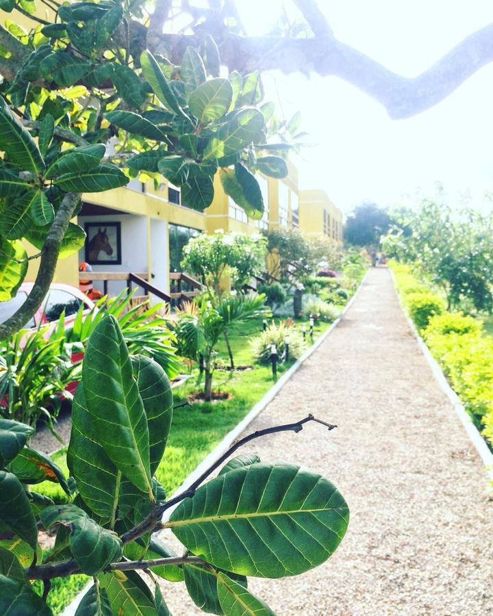 Flat Em Serra Negra - Bezerros Bagian luar foto
